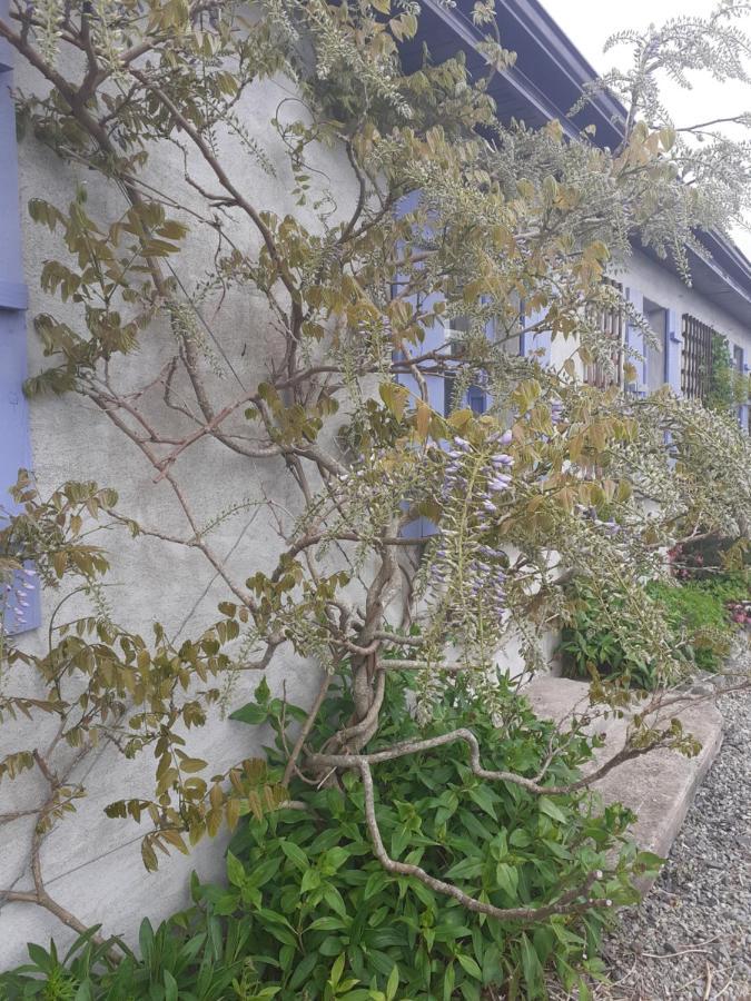 Escape To The Country Villa Westport Esterno foto
